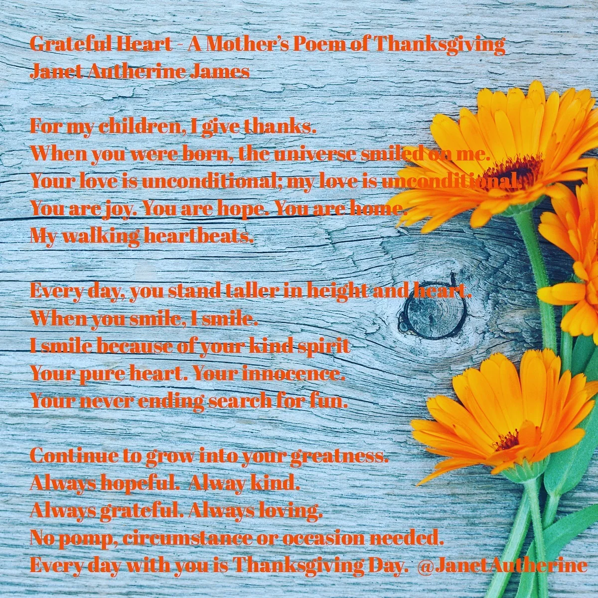 a mother's poem of thanksgiving — janet autherine